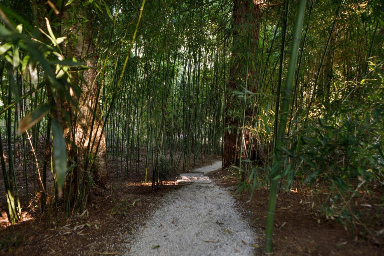 Finca La Peniga Mazcuerras Esterno foto