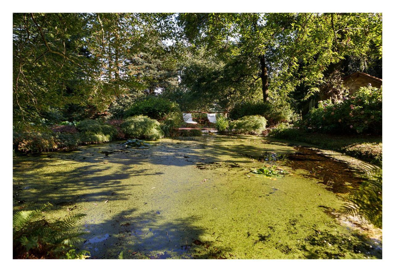Finca La Peniga Mazcuerras Esterno foto