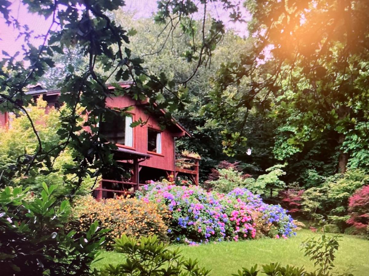Finca La Peniga Mazcuerras Esterno foto